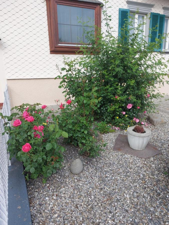 Ferienhaus Und Ferienappartements Brunner Höchst Eksteriør bilde